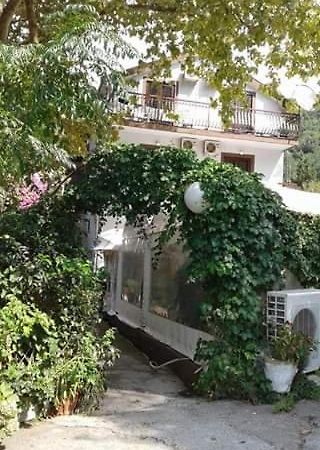 Pansion Mimoza Bed & Breakfast Herceg Novi Dış mekan fotoğraf